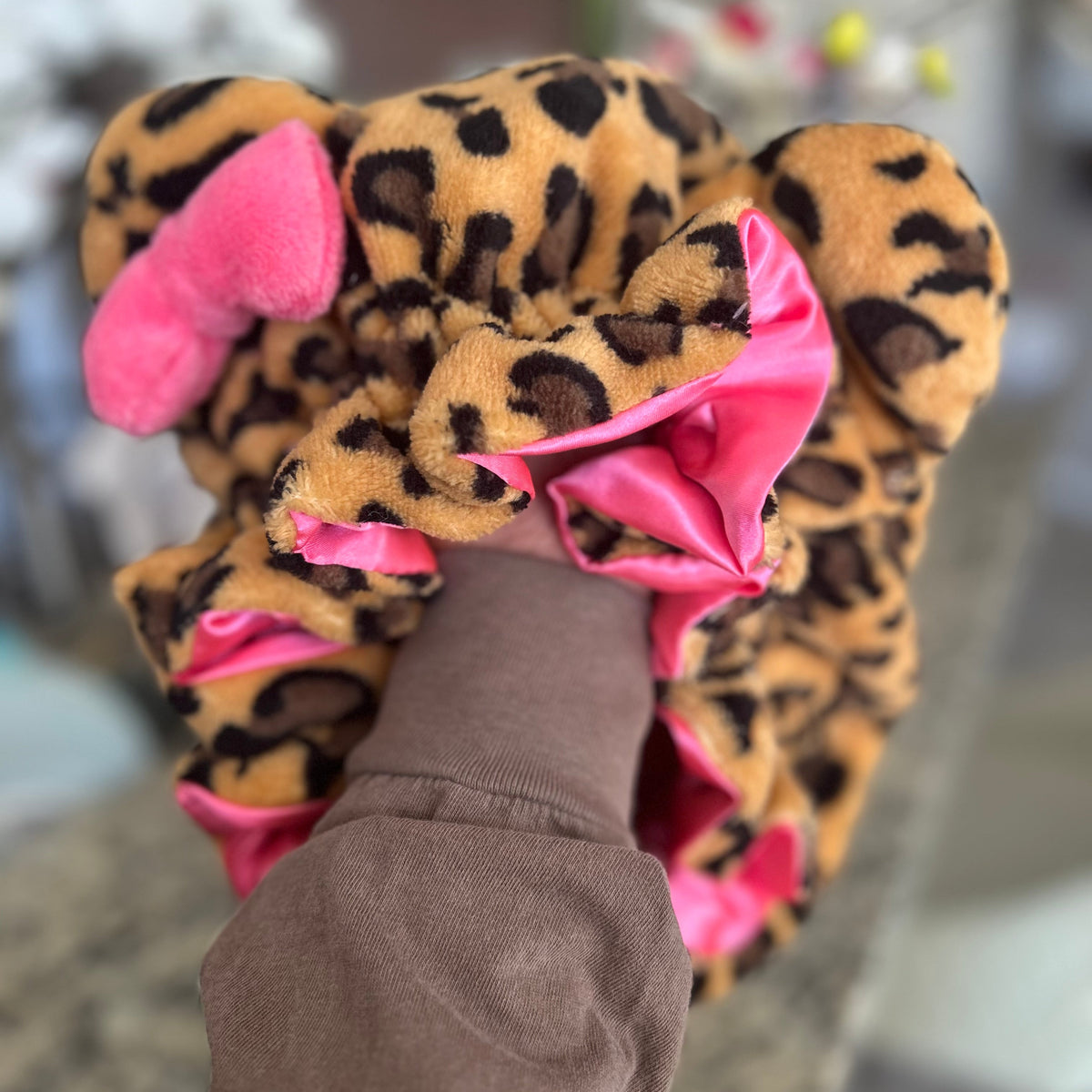 Teddy Bonnet